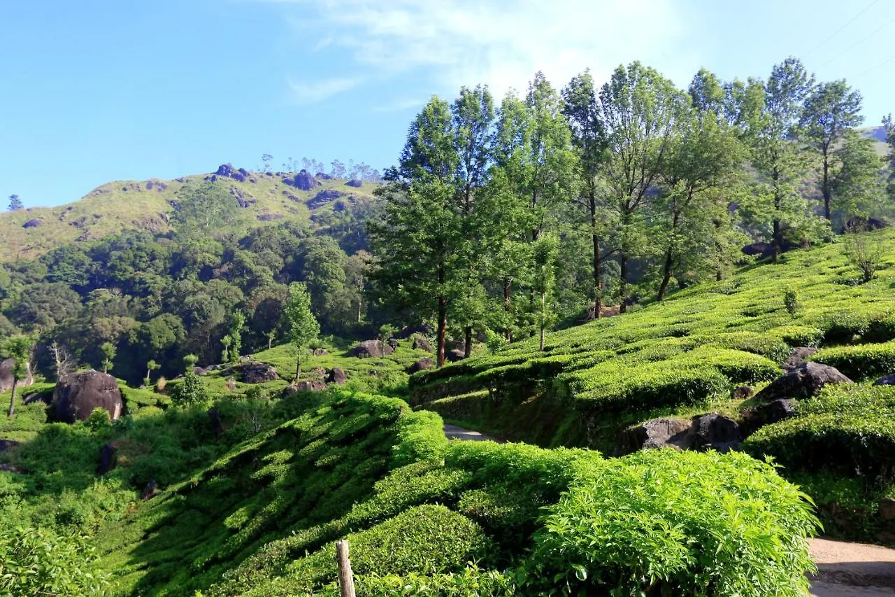 Green Magic Home Munnar Homestay