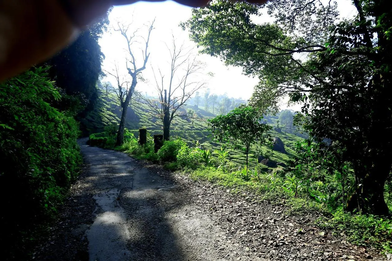 Green Magic Home Munnar