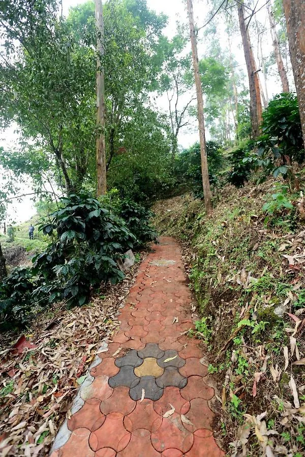 Green Magic Home Munnar Homestay