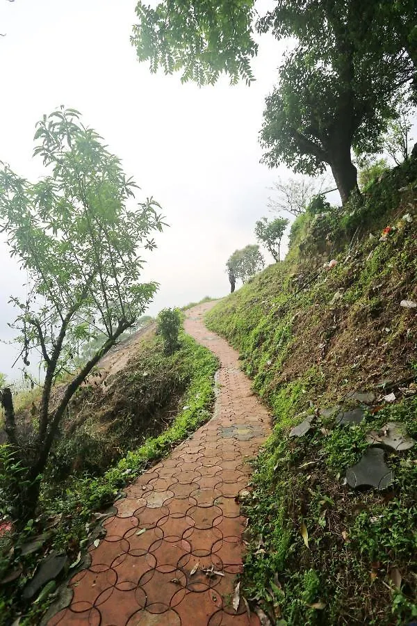 Green Magic Home Munnar