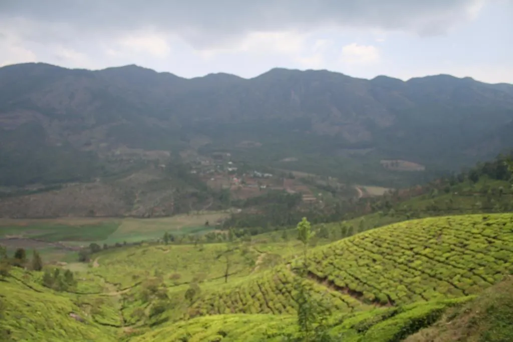 Homestay Green Magic Home Munnar India