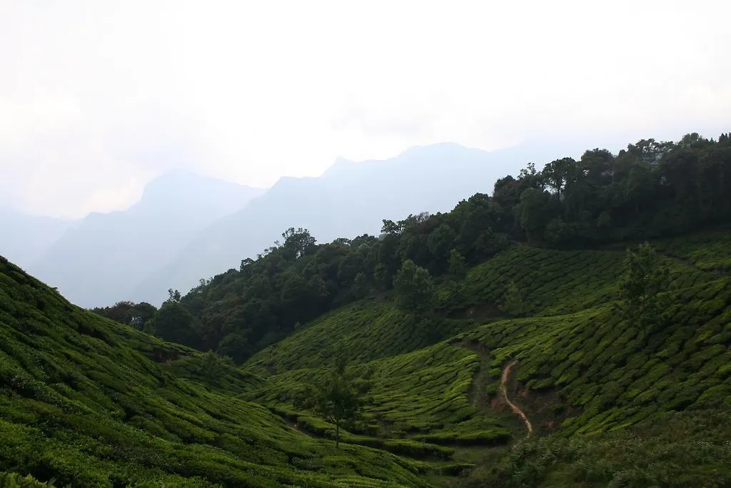 Green Magic Home Munnar Homestay